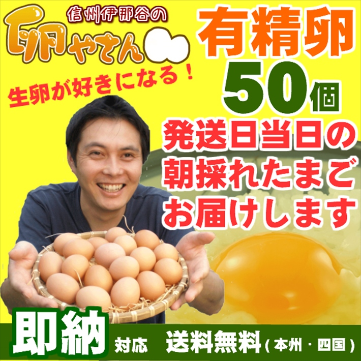 信州伊那谷の卵やさん 有精卵 有精卵50個※発送予定表を必ずご確認ください。